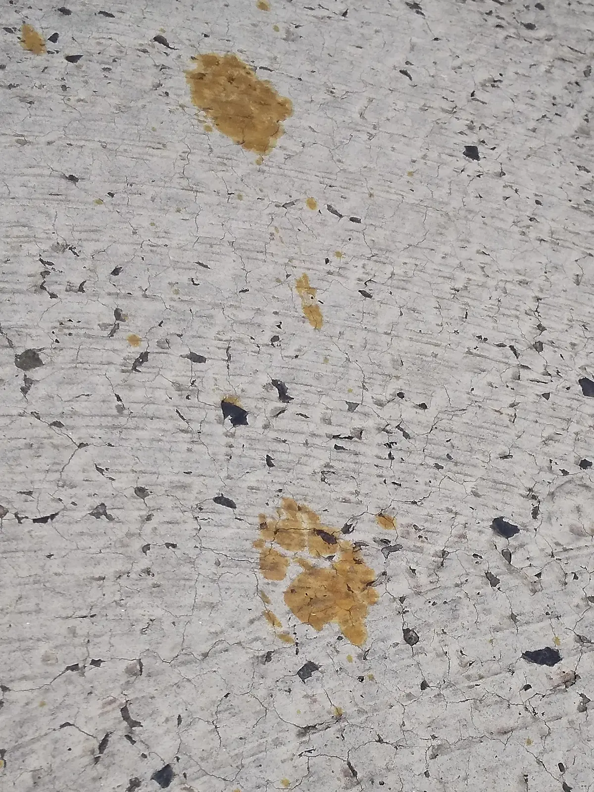 This handout picture taken and released by Nomura Plating on March 12, 2024 shows footprints believed to be from a cat that fell into a tank containing toxic hexavalent chromium at the plating factory in Fukuyama, Hiroshima Prefecture. Locals in a city in Japan have been told not to approach or touch a missing cat that fell into a vat of dangerous chemicals and scampered off into the night. (Photo by Handout / Nomura Plating / AFP) / RESTRICTED TO EDITORIAL USE - MANDATORY CREDIT "AFP PHOTO / Nomura Plating " - NO MARKETING - NO ADVERTISING CAMPAIGNS - DISTRIBUTED AS A SERVICE TO CLIENTS