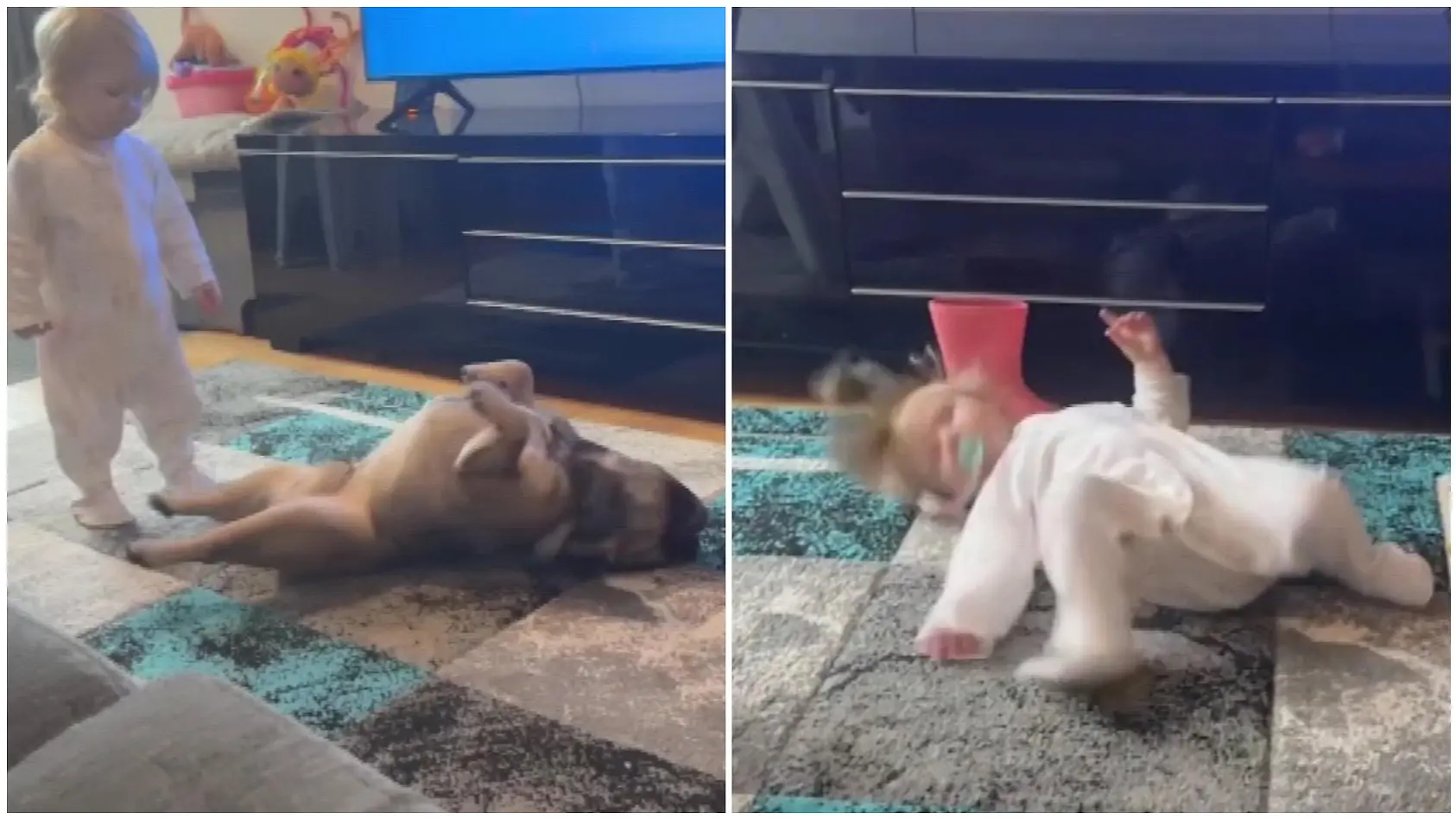 Baby macht Hund ALLES nach