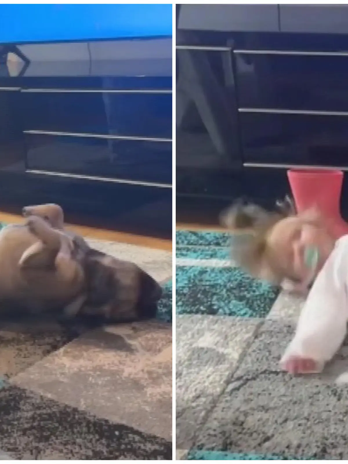 Arabella und ihr Hund sind beste Freunde!
Klar, dass man sich in Freundschaften auch mal gegenseitig auf Ideen bringt. Und als der Hund sich auf den Rücken wirft, um sich über den Boden zu kratzen, fühlt sich die Dreijährige inspiriert. Und es ist nicht das einzige, was das Mädchen dem Vierbeiner nachmacht. Den lustigen Moment seht ihr im Video.