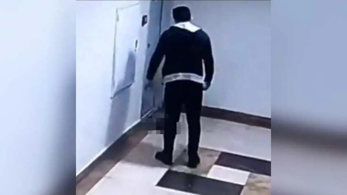 Ein Mann quält in der Türkei eine Katze und landet deswegen vor Gericht.