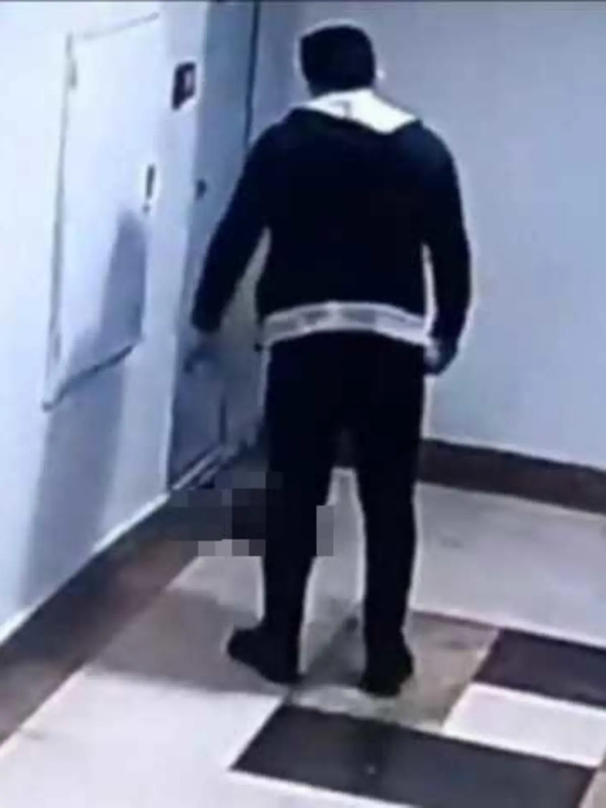 Ein Mann quält in der Türkei eine Katze und landet deswegen vor Gericht.