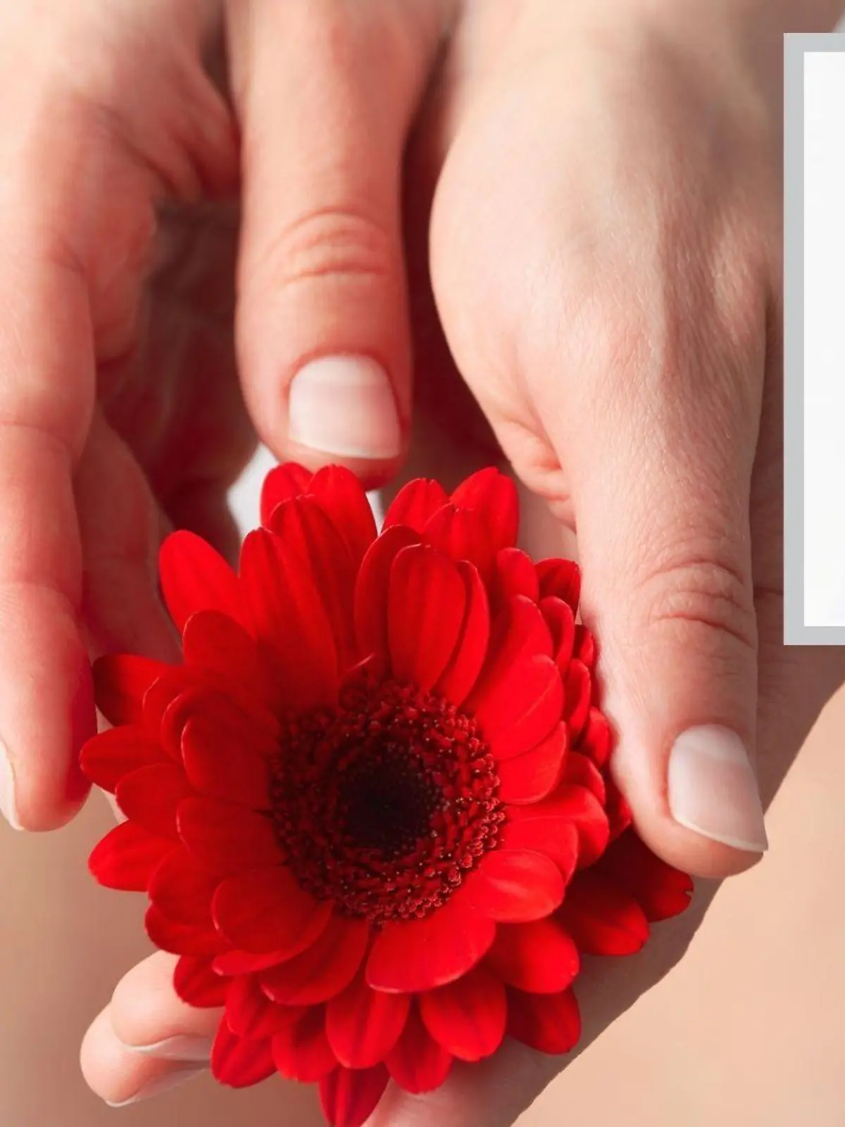 Eine Frau hält eine Blume in der Hand und Dr. med. Judith Bildau Porträt.