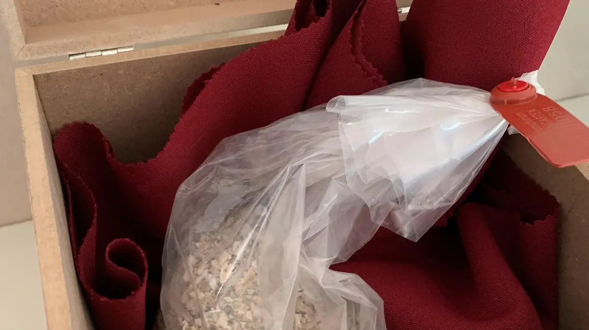 Ann Malo bewahrt die Asche ihres Hundes zuhause auf.