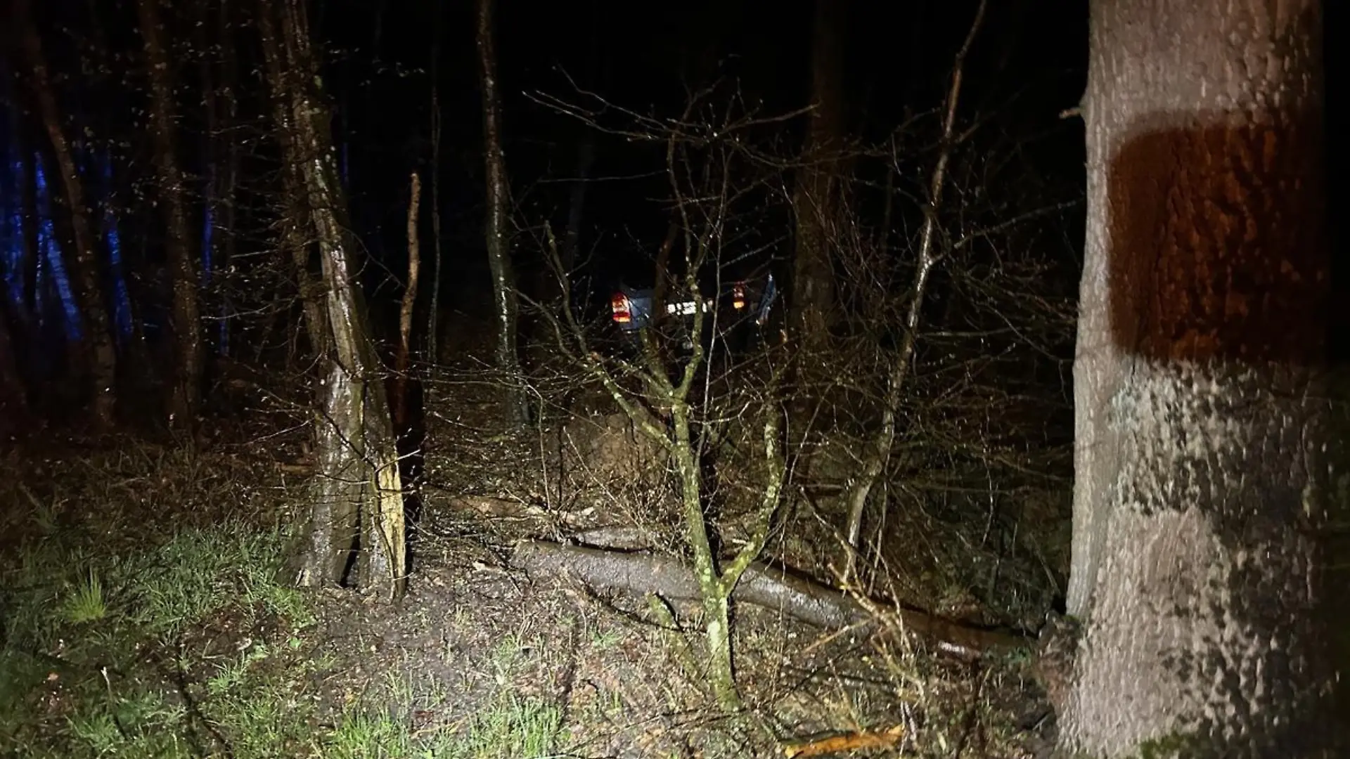 Unfallfahrzeug im Wald