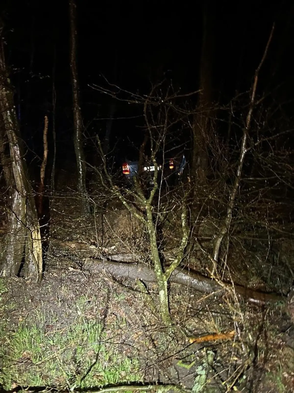 Unfallfahrzeug im Wald