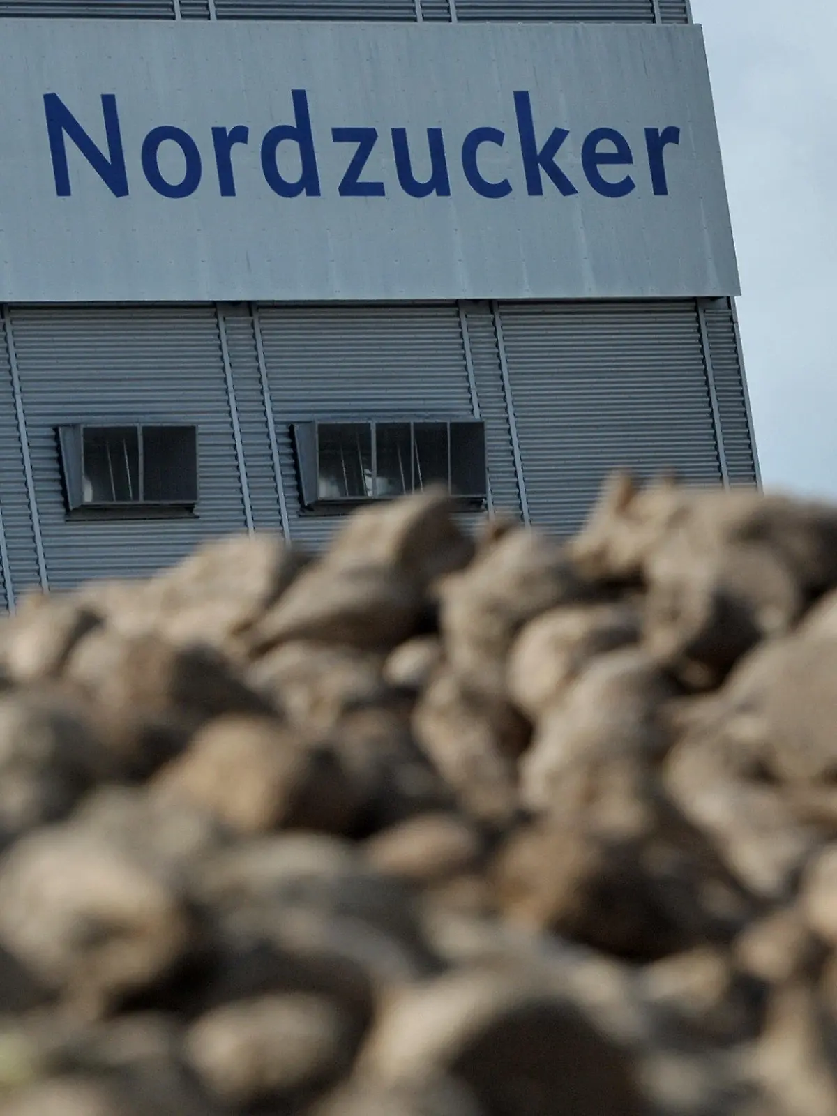ARCHIV - Berge von Zuckerrüben liegen am 19.09.2012 bei der Nordzucker AG auf dem Gelände der Uelzener Zuckerfabrik in Uelzen (Niedersachsen) zur Verarbeitung bereit. Europas zweitgrößter Zuckerhersteller Nordzucker sieht sich mit dem Vorwurf illegaler Preisabsprachen konfrontiert.  Foto: Philipp Schulze/dpa (zu lni 0625 / 0645 vom 17.05.2013) +++(c) dpa - Bildfunk+++