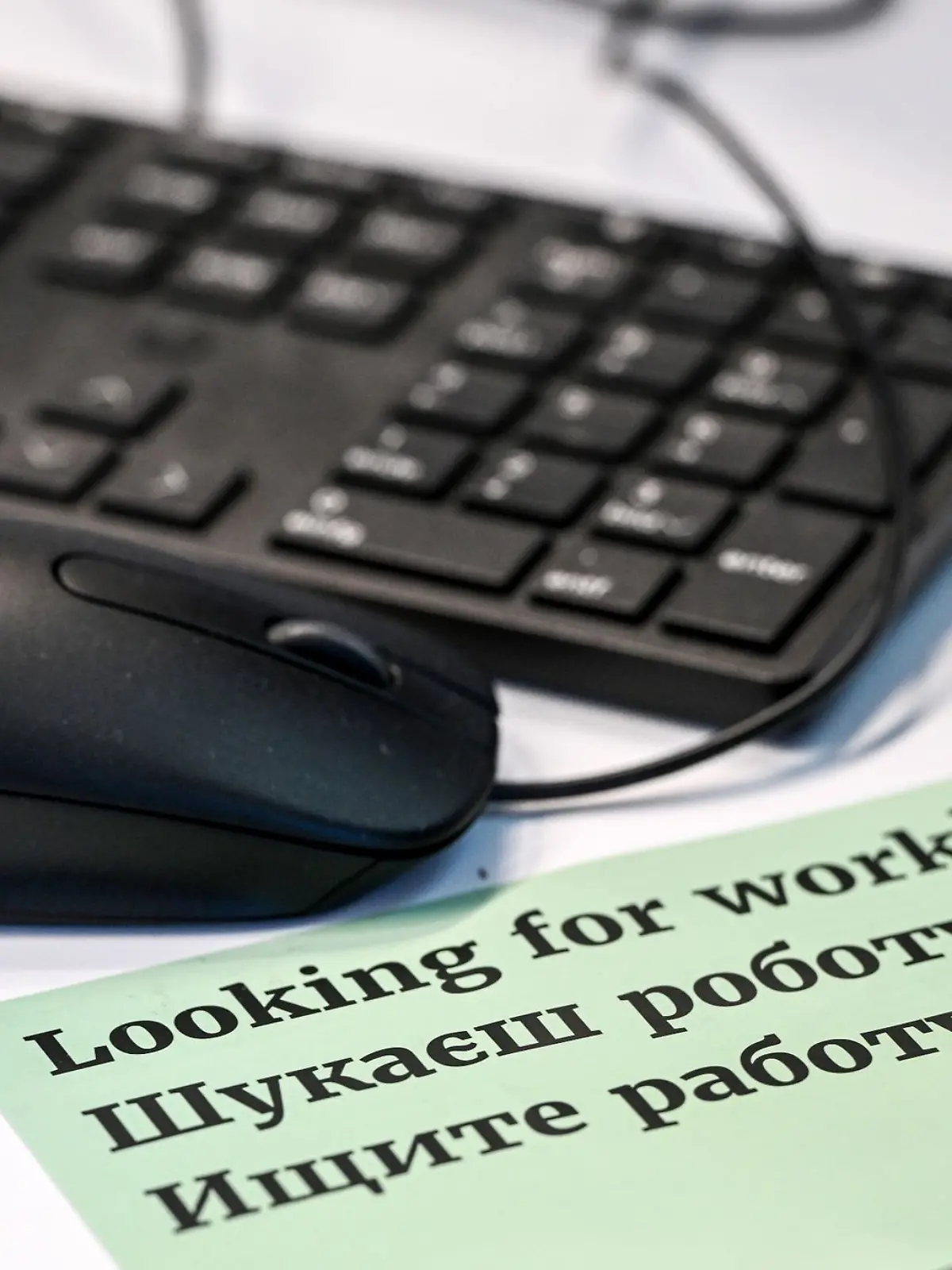 Auf einer Jobmesse liegt ein Werbezettel, auf dem in drei Sprachen «Suchen sie Arbeit?» gedruckt ist.