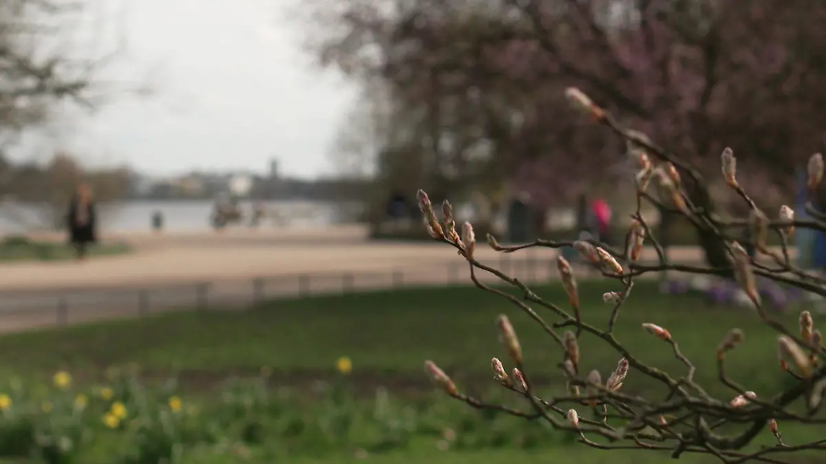 Bei frühlingshaftem Wetter bemerken Allergiker die ersten Symptome.