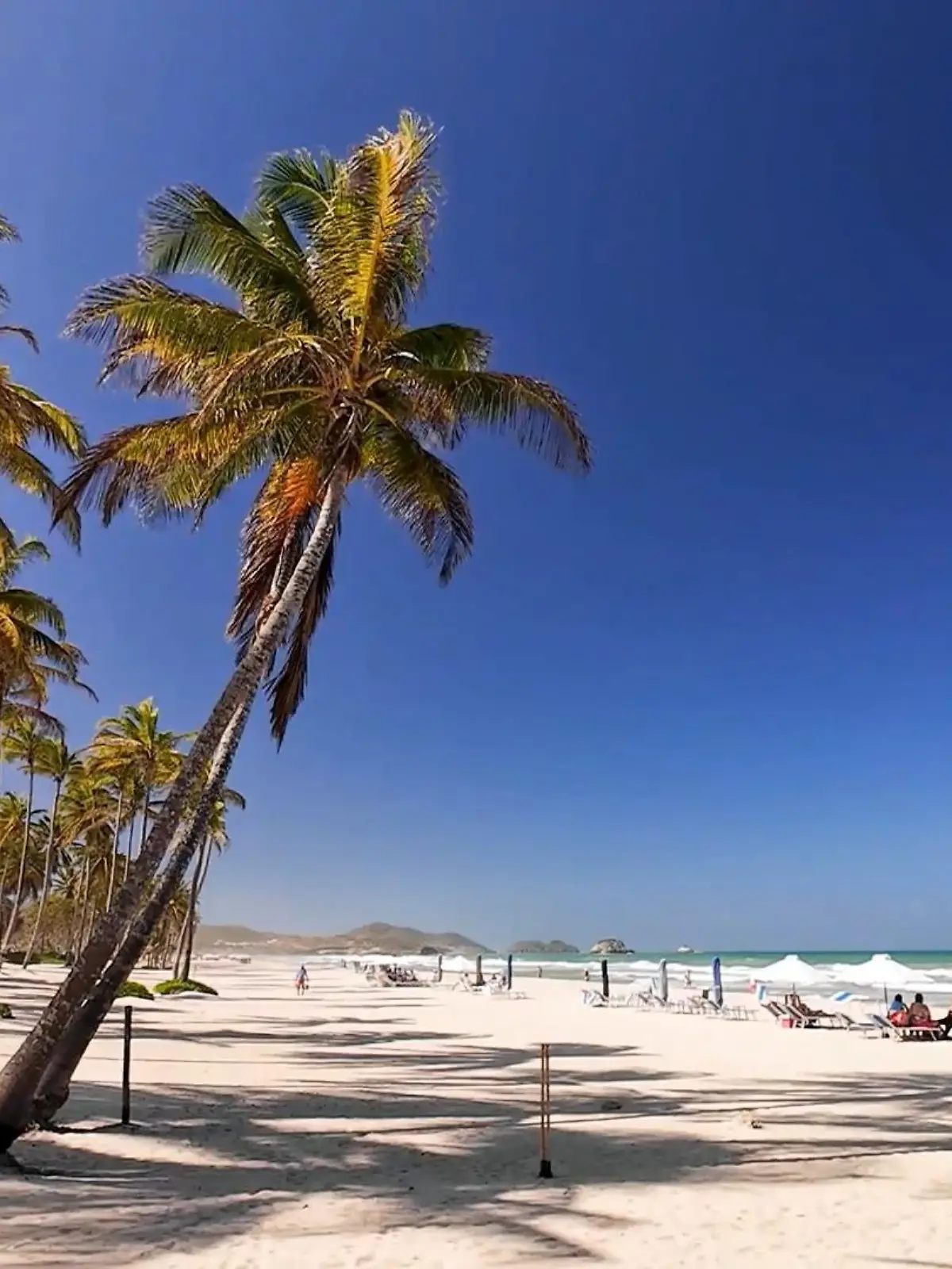 Auch wenn das Auswärtige Amt vor Reisen nach Venezuela warnt, gilt das Land als absoluter Geheimtipp für Urlauber auf der Suche nach karibischem Flair für wenig Geld. Wir haben die Koffer gepackt und uns genauer angeschaut, wie (alb-)traumhaft Urlaub in einem der gefährlichsten Länder der Welt wirklich ist. 