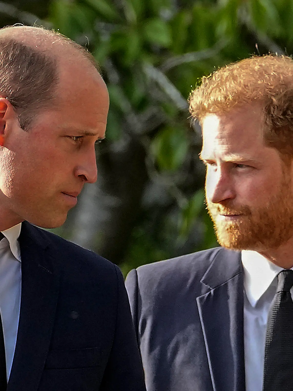Prinz William und Prinz Harry