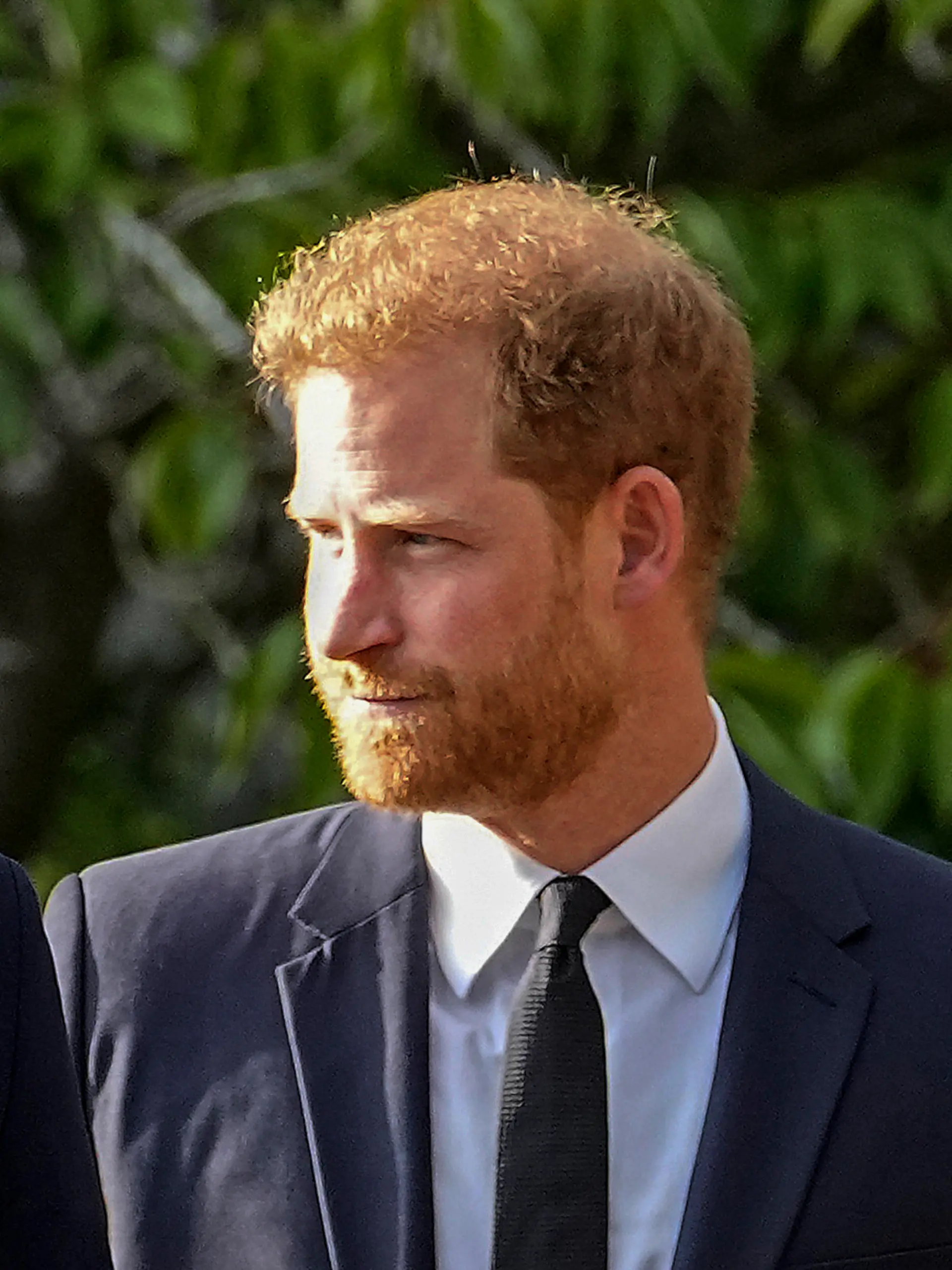 Prinz William und Prinz Harry