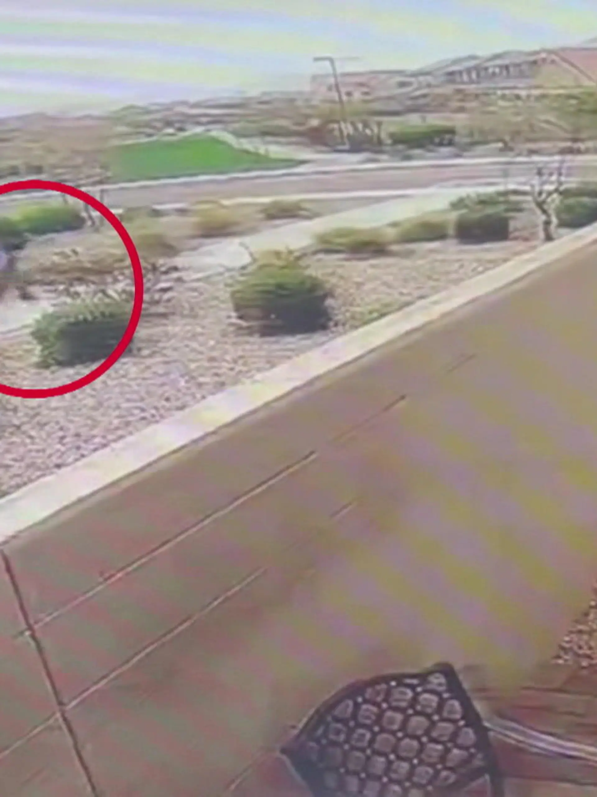 Sie entging nur knapp einer Entführung! Es ist eine ganz normale große Kreuzung in den USA. Eine dunkelgekleidete Teenagerin geht über die Ampel. Dann fährt ein hellbraunes Auto an den Straßenrand, ein Mann steigt aus. Er verfolgt die Jugendliche. Die Polizei vermutet später: Er wollte sie kidnappen!