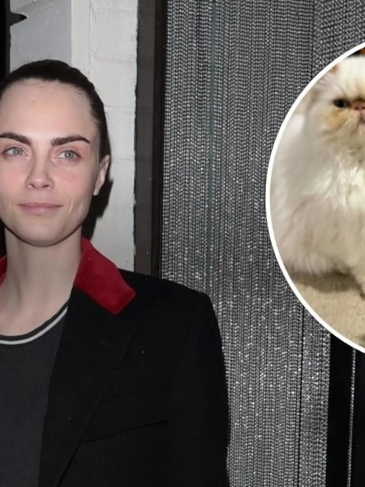 Cara Delevingne: Große Sorge um ihre Katzen.