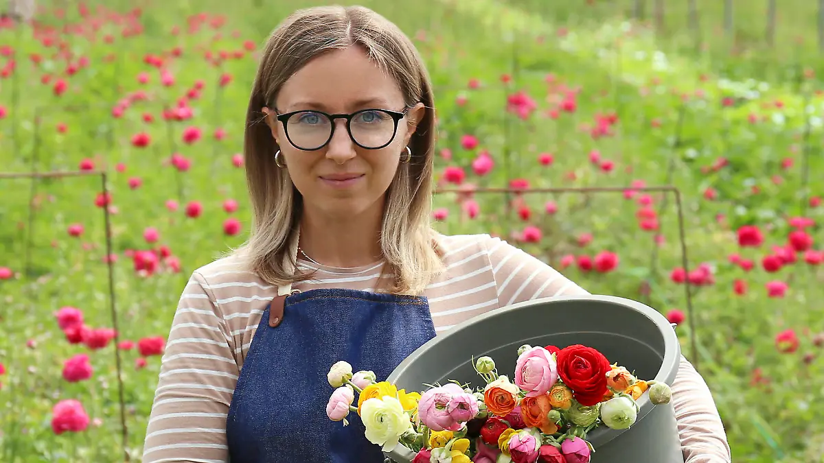 Woman holding bucket with Ranunculus flowers in greenhouse model released, Symbolfoto, SYEF00376