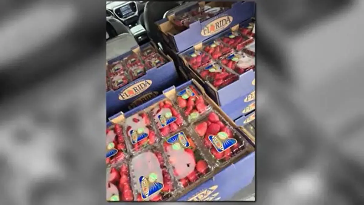 Tragischer Tod nach Verzehr von Erdbeeren.