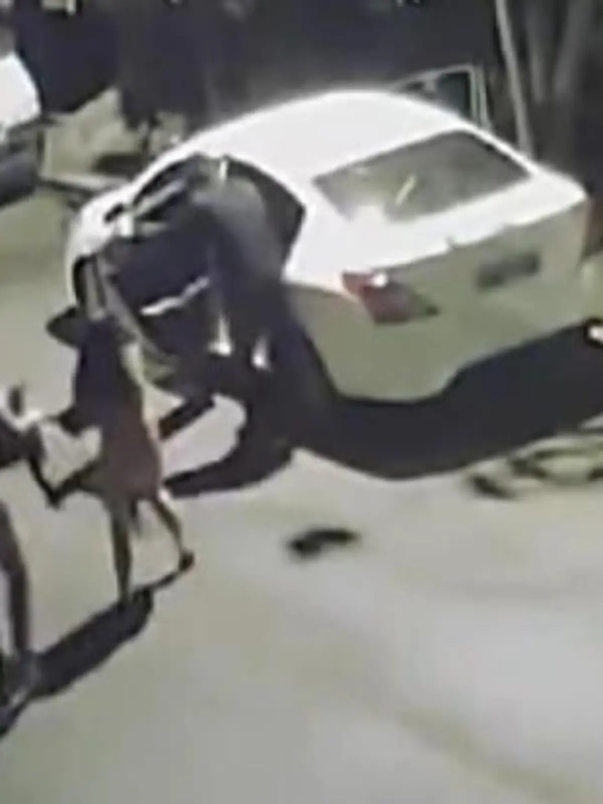 Dem eigenen Sexleben einen ganz neuen Drive geben - genau das erlebte jetzt ein Pärchen aus Brasilien. Denn während die beiden in ihrem Auto wohl jede Menge Spaß hatten, brechen drei Diebe ihre Autotür auf - und werfen das Paar wortwörtlich auf die Straße.