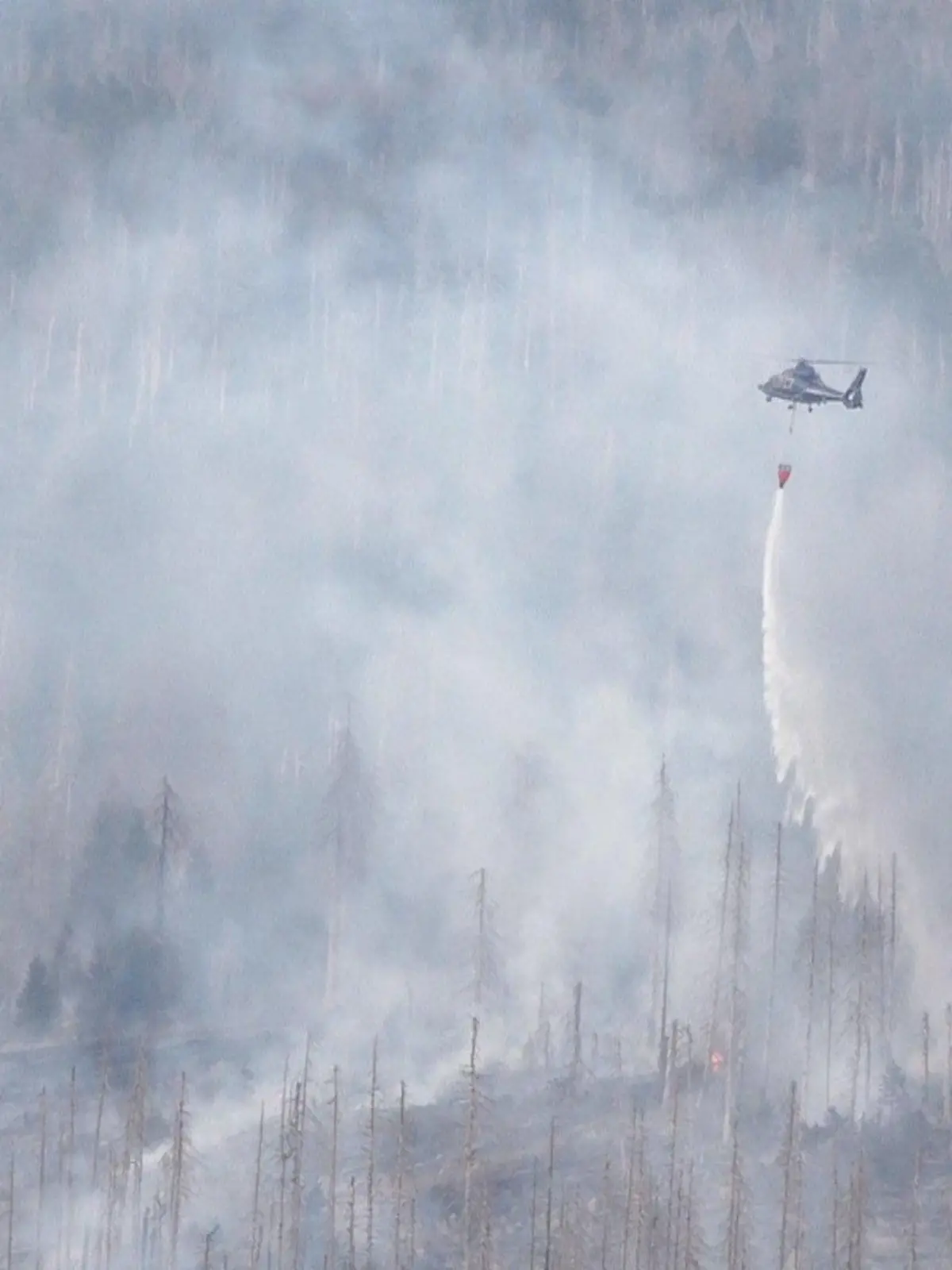 04.09.2022, Sachsen-Anhalt, Schierke: Mit Löschhubschraubern wird das Feuer am Brocken bekämpft. Insgesamt 5 Löschhubschrauber sind im Einsatz. Foto: Christian Butt/nordwestmedia/NMW/dpa +++ dpa-Bildfunk +++