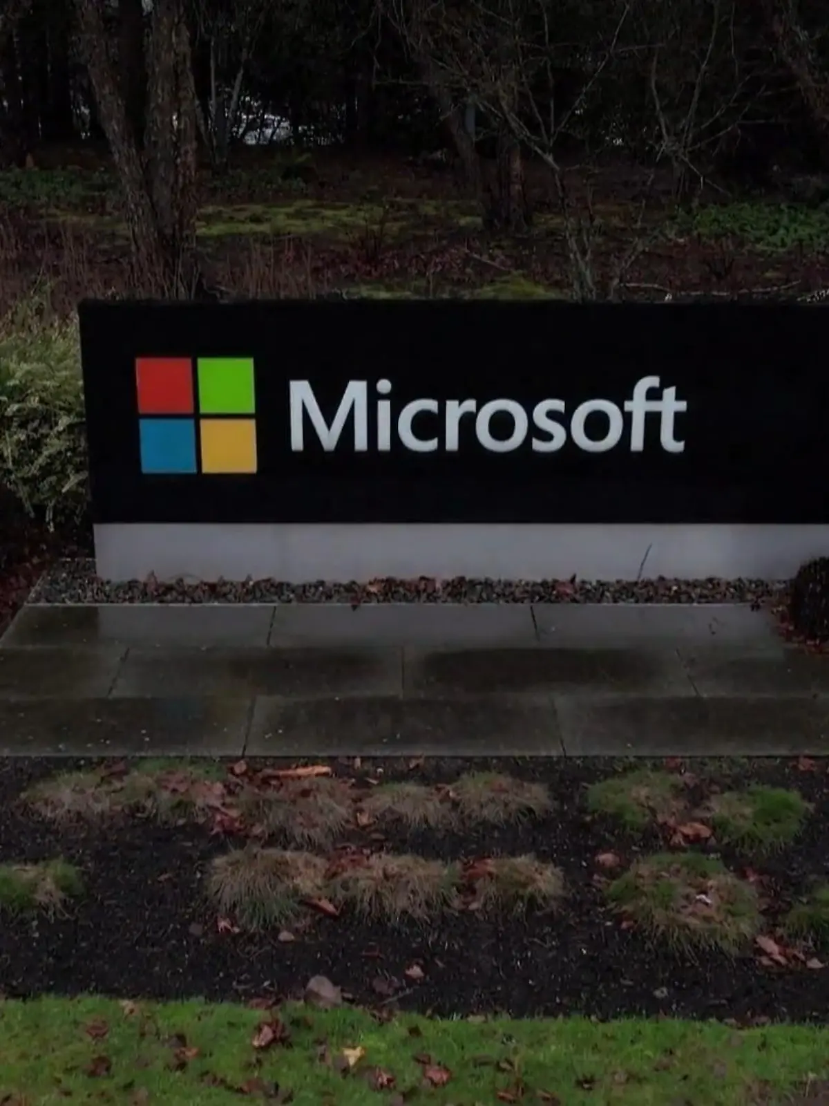 Bild zu: "Microsoft in NRW"
