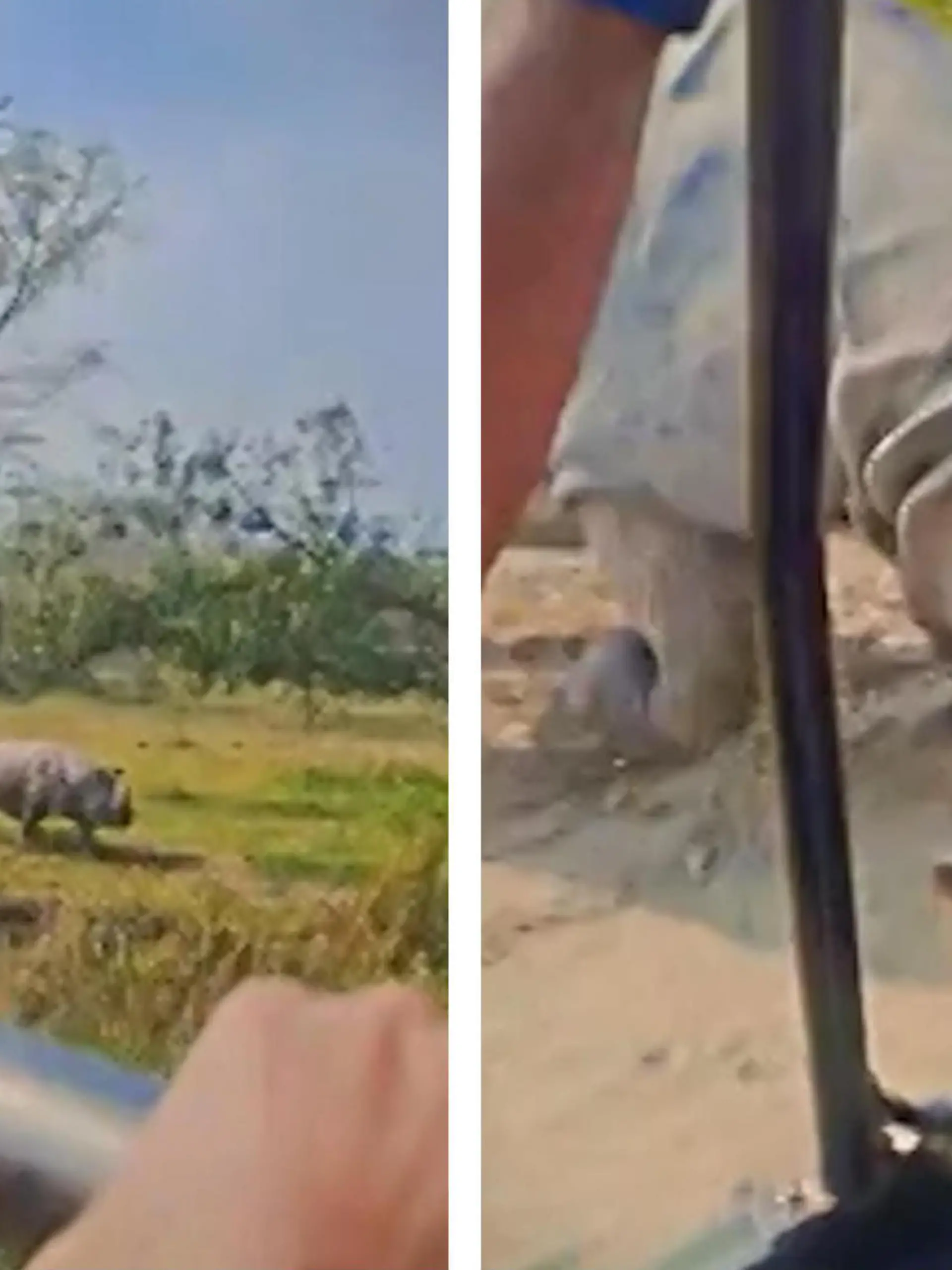Ein aggressives Nashorn stürmt im Manas-Nationalpark in Indien auf einen Jeep mit Safari-Touristen zu. Das Krasse: Das Auto ist offen. Die dramatischen Szenen seht ihr im Video und erfahrt, ob bei dem Unfall jemand zu Schaden kam.