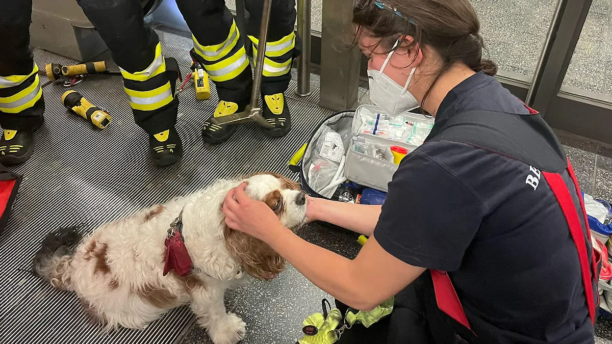 Einsatzfoto Branddirektion München