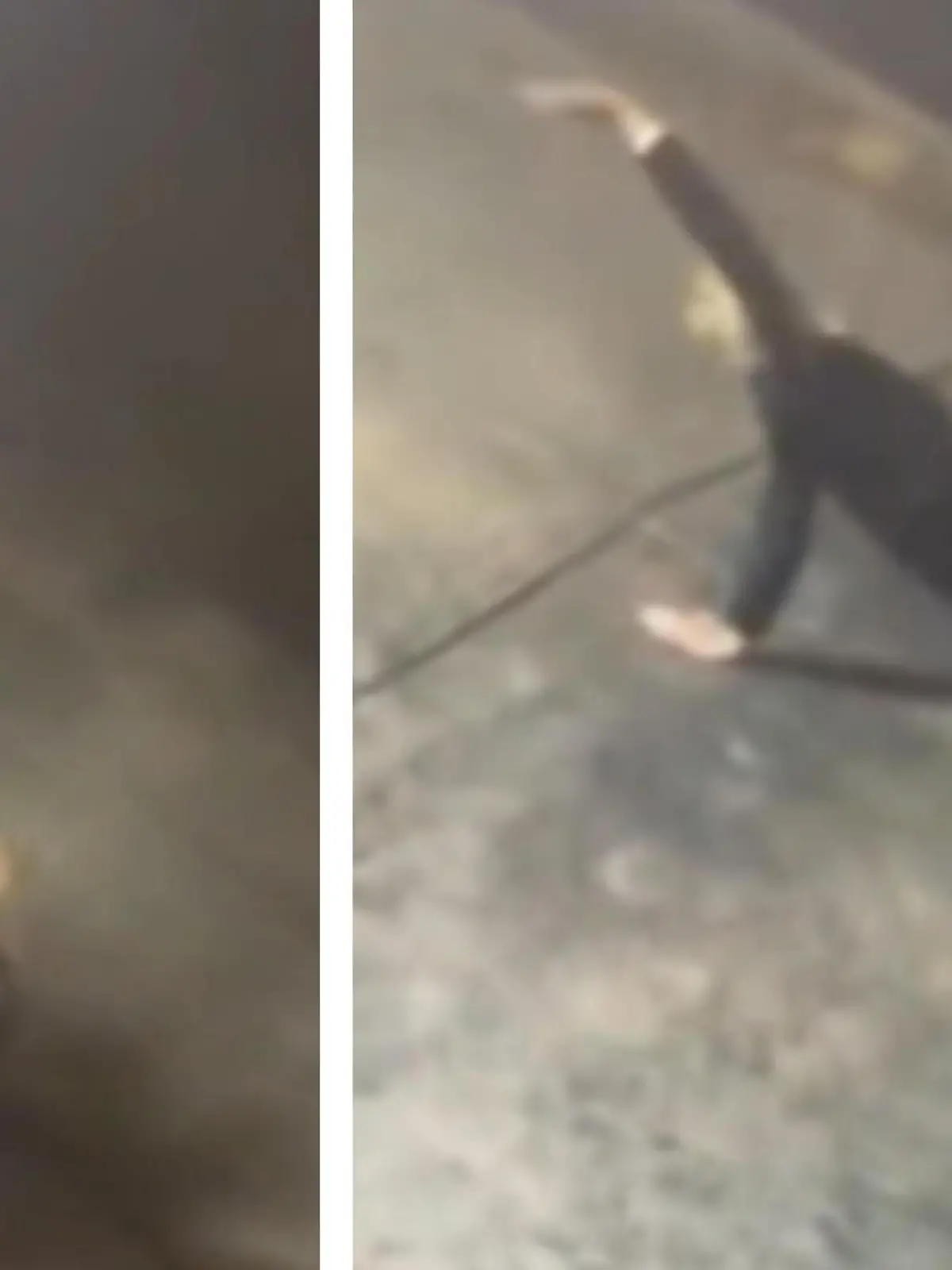 Diese Diebin macht Yoga-Übungen, bevor sie sich Zutritt zu einer Bäckerei verschaffte und einige süße Teilchen mitgehen ließ. Ihre skurrilen Übungen seht ihr im Video.