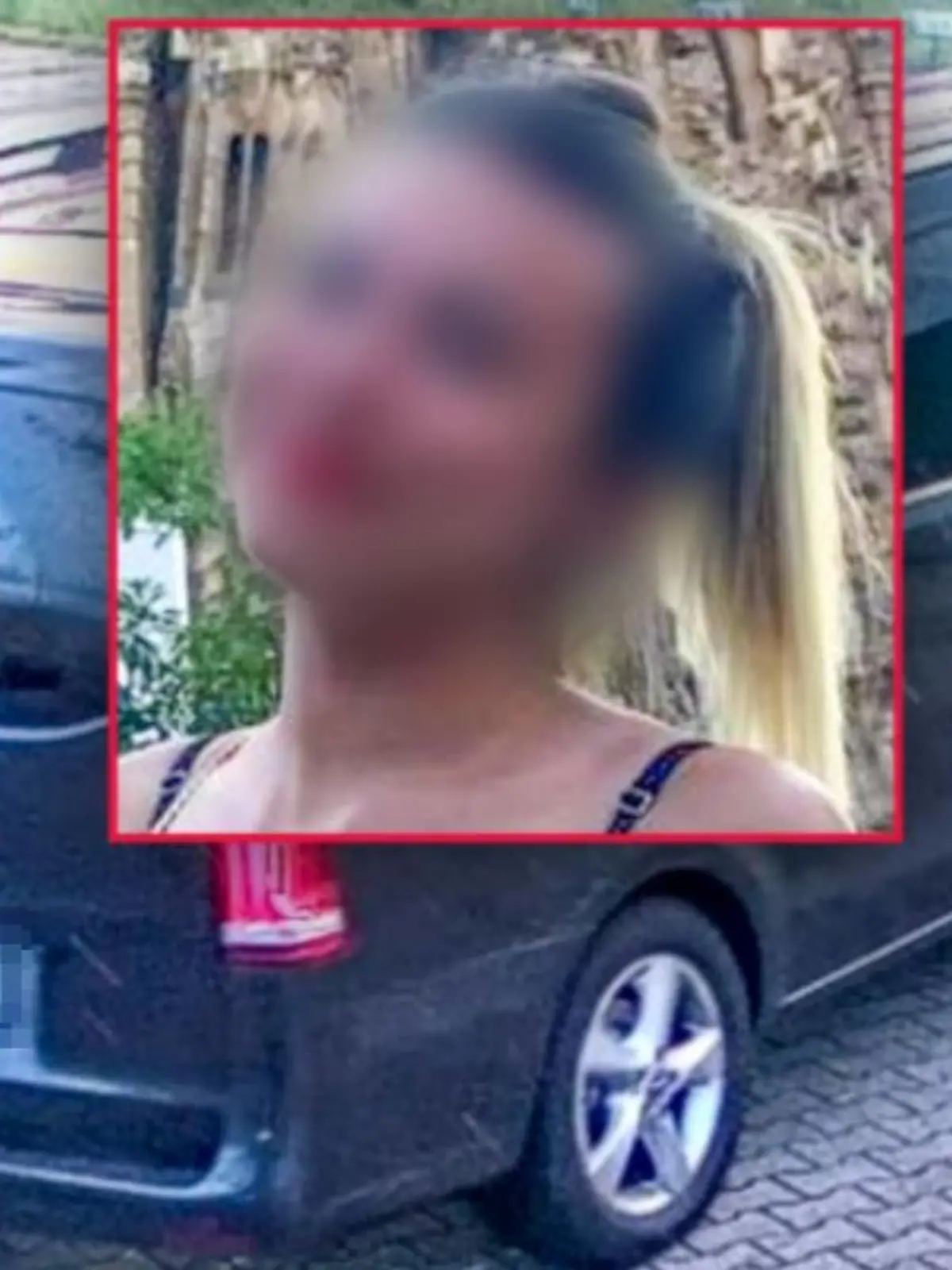 In diesem Transporter soll Yasemin G. die Millionen weggeschafft haben.