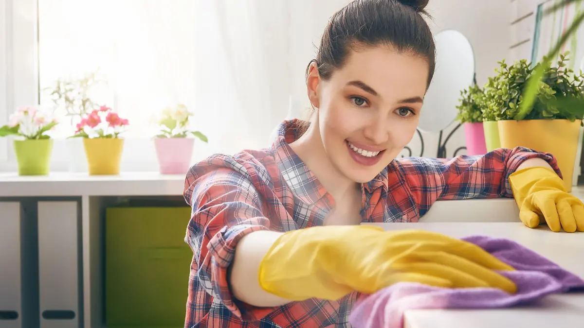 Beautiful young woman makes cleaning the house. Girl rubs dust.
