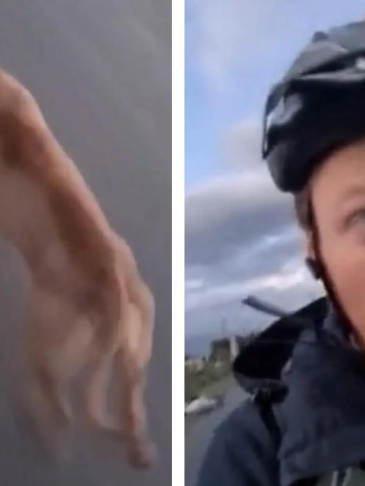 Ed Hack ist auf Fahrradtour in Kalifornien als plötzlich zwei aggressive Hunde um die Ecke gepest kommen und ihn jagen. Ed muss ordentlich Gas geben, um die beiden abzuhängen.