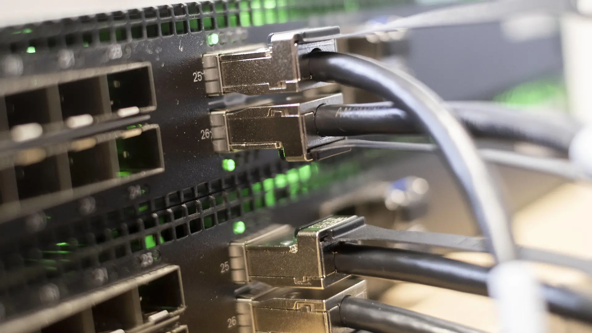 Daten- und Netzwerkkabel an Internetservern Internetserver *** Data and network cables on Internet servers Internet server