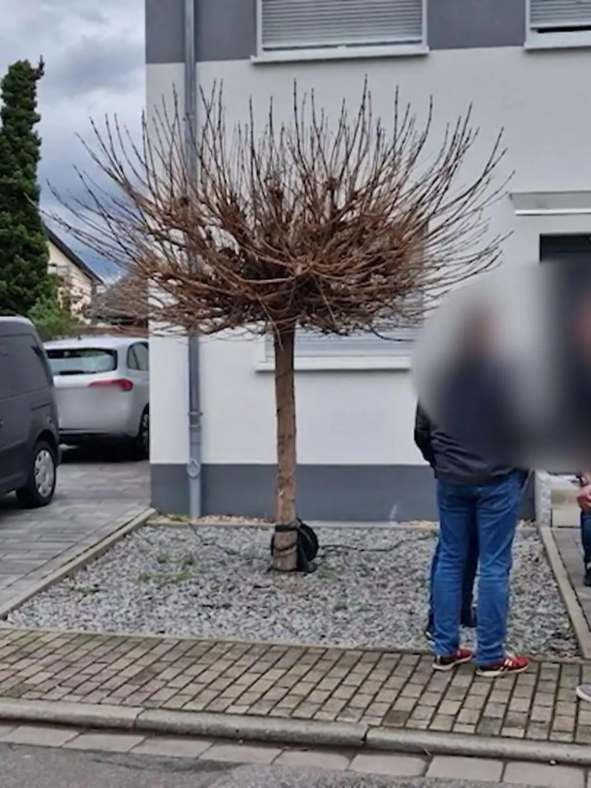 Die Polizei bestätigt, dass die Durchsuchung mit dem Fall der getöteten Mutter zusammenhängen würde. Doch ob die beiden Tatverdächtigen in diesem Reihenhaus wohnen, das konnten die Beamten nicht bestätigen.