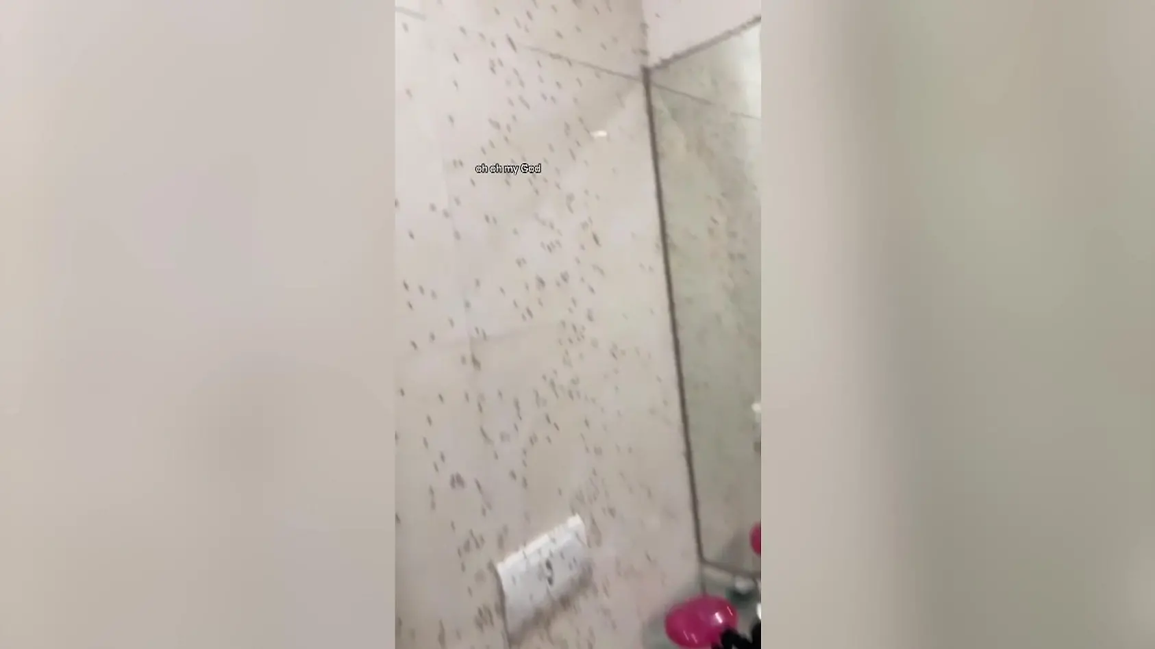 Tausende kleine Besucher