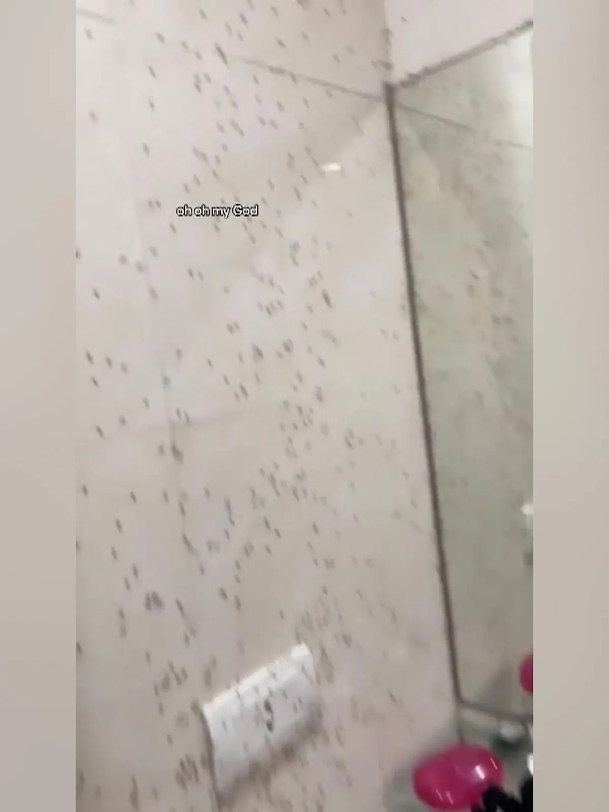 Melissa Mc Garr möchte eigentlich einen entspannten Urlaub in Indoniesien verbringen. Da hat sie die Rechnung aber ohne die tausenden Ameisen gemacht, die sich im Bad ihres Hostels breit gemacht haben.
Die ganze Ameisen-Invasion seht ihr im Video.