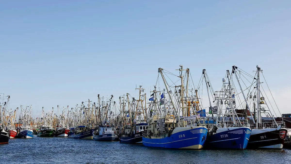 Fischerboote liegen nach einer Kutterdemonstration anlässlich der Agrarministerkonferenz im Hafen.