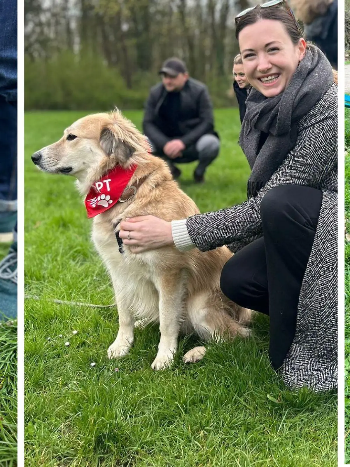 Diese Hunde suchen ein Zuhause! Ade, Geronimo und Rüdiger