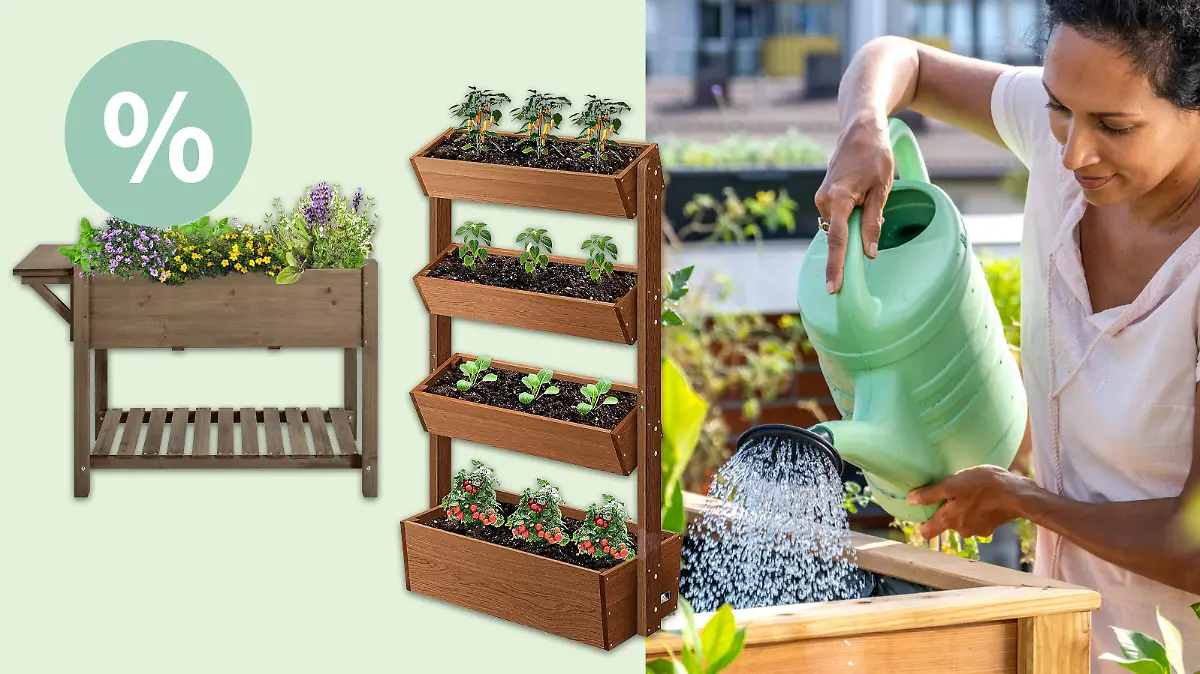 Hochbeete Amazon Angebot