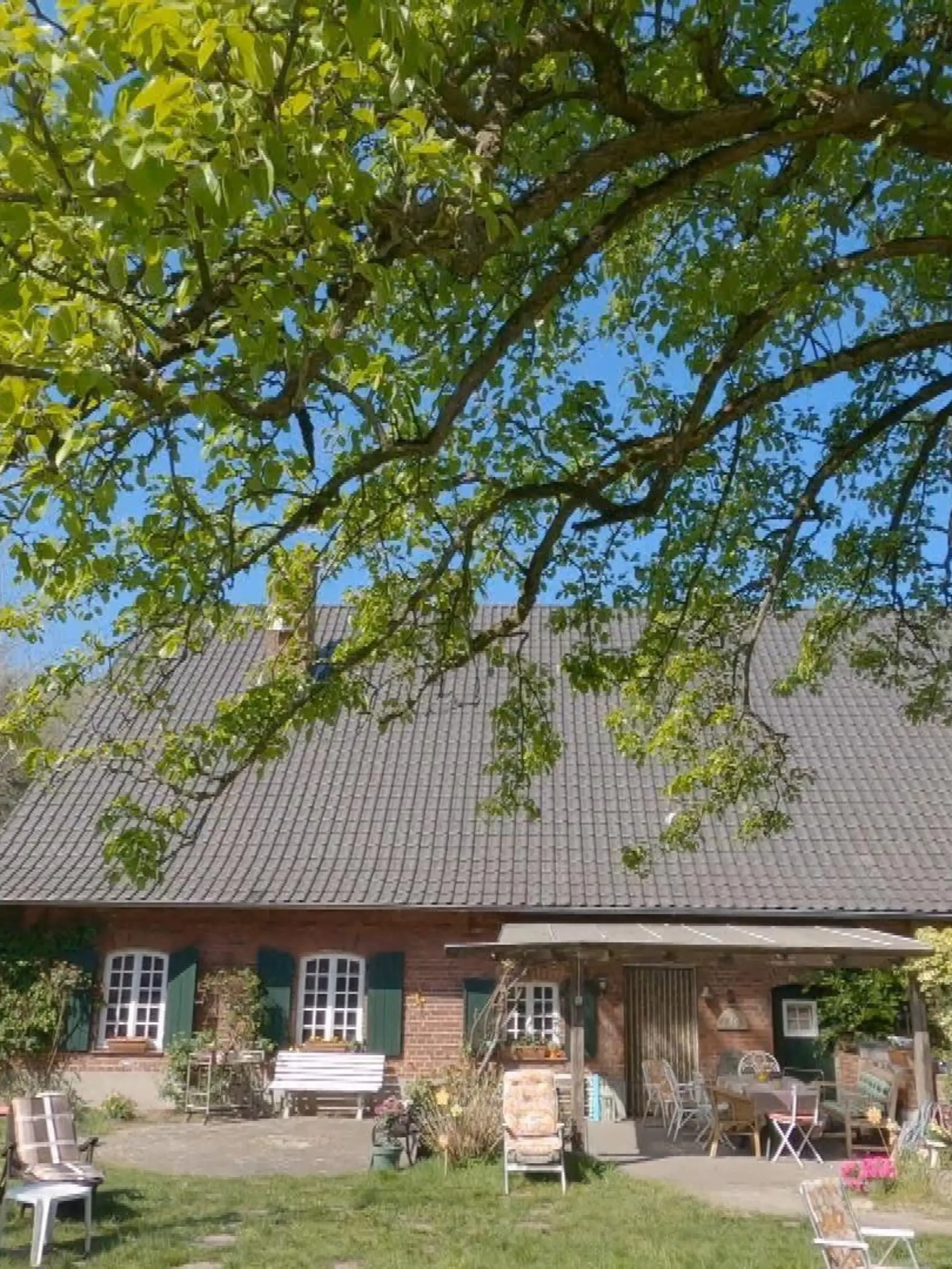 Das "Sommerhaus der Stars" in Bocholt.
+++ Die Verwendung des sendungsbezogenen Materials ist nur mit dem Hinweis und Verlinkung auf RTL+ gestattet. +++