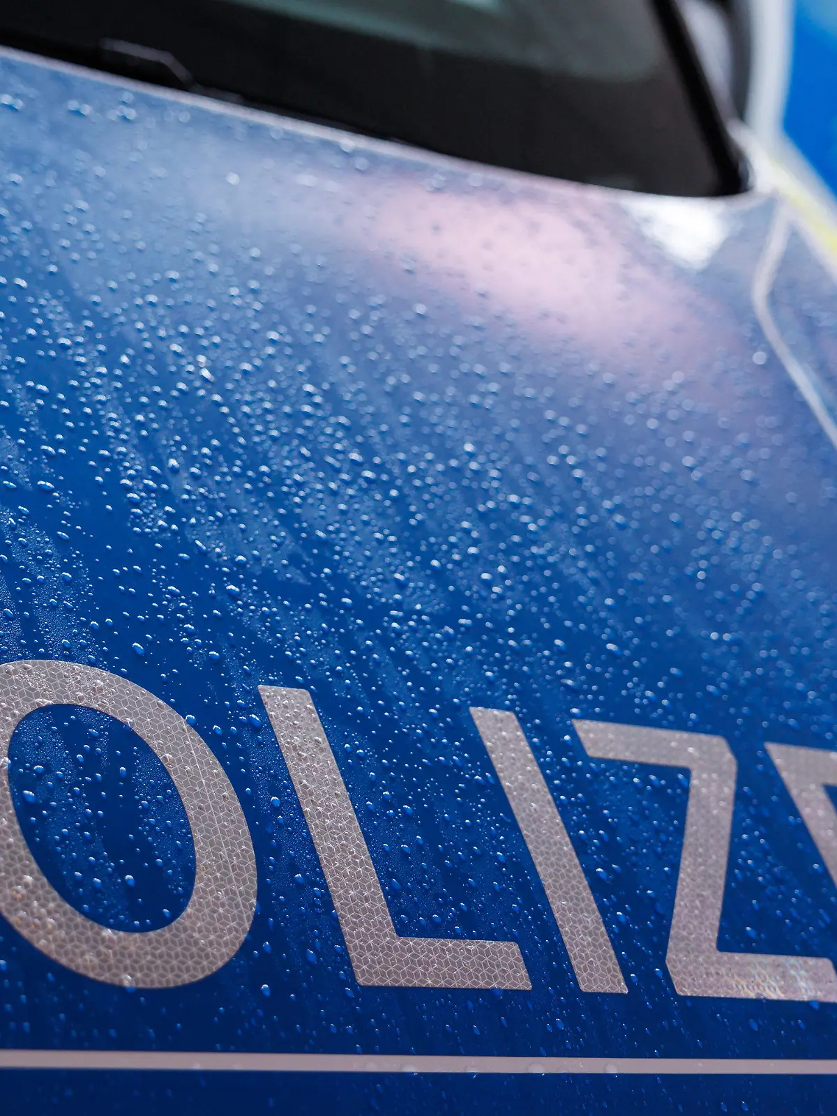 ARCHIV - 28.08.2023, Bayern, Nürnberg: Zwei Streifenwägen der Polizei. (zu dpa: «Mann fährt mit Geländewagen in Menschengruppe - zwei Verletzte») Foto: Daniel Karmann/dpa +++ dpa-Bildfunk +++