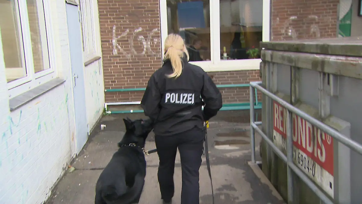 Spürhund Joker