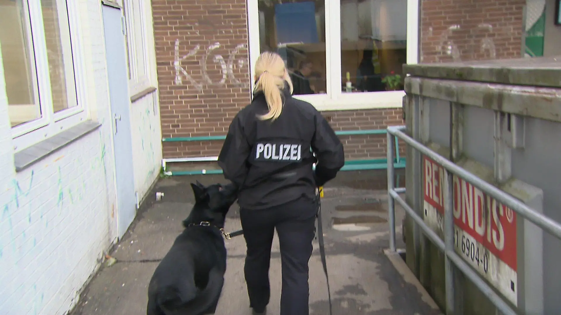 Spürhund Joker