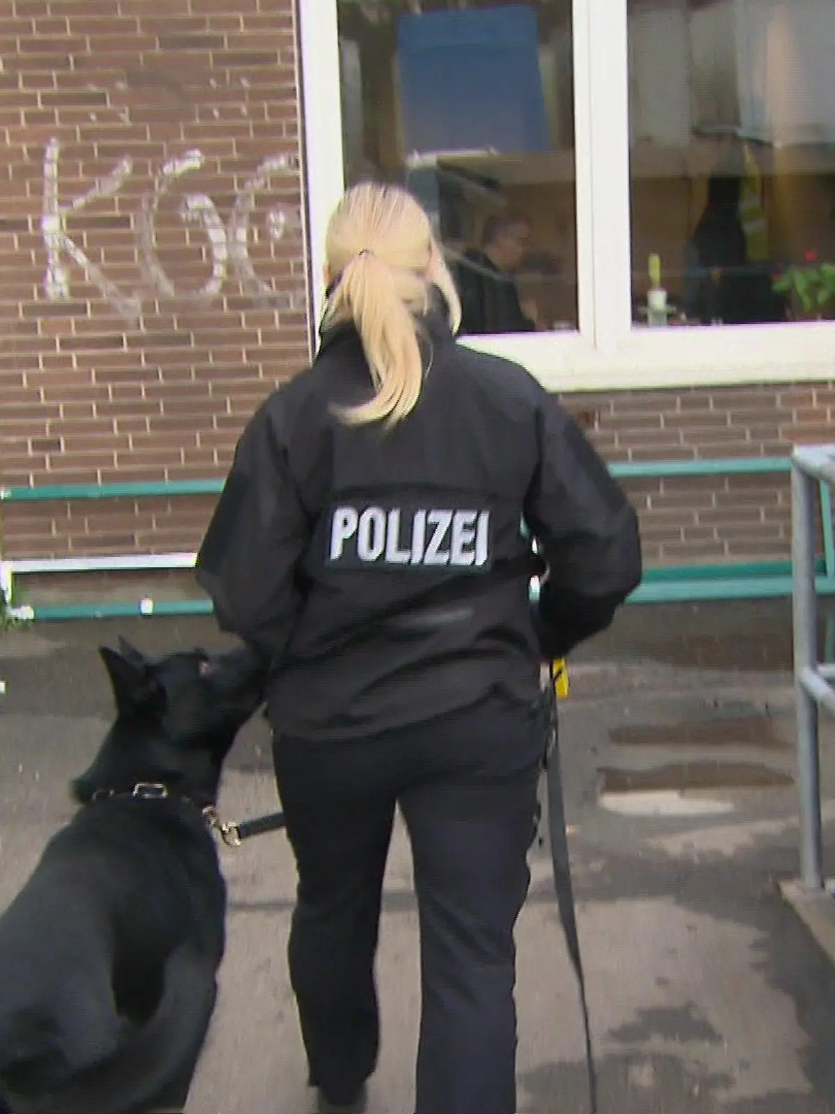 Spürhund Joker