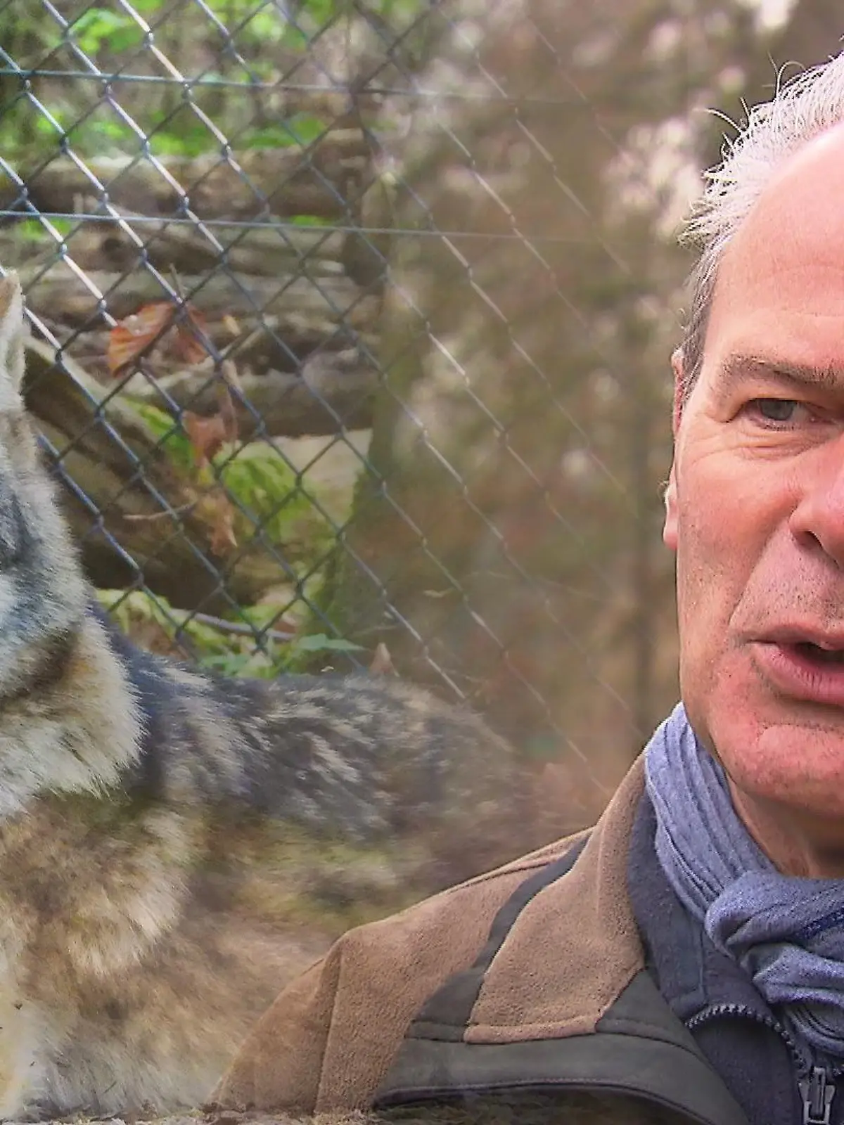 Uwe Pietsch bedauert den Wolfsbiss sehr, doch warnt immer wieder davor, dass Wölfe Wildtiere sind und mit Vorsicht behandelt werden sollten.