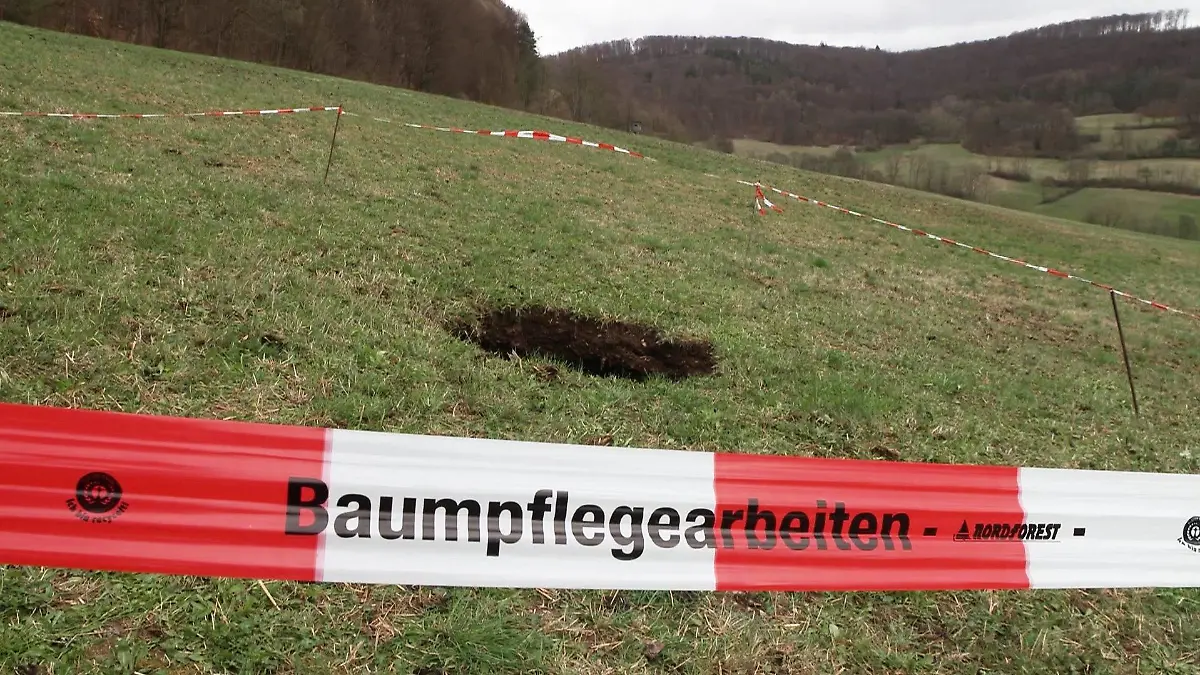 Ein Baum stand an dieser Stelle nicht, da sind sich die Anwohner sicher.