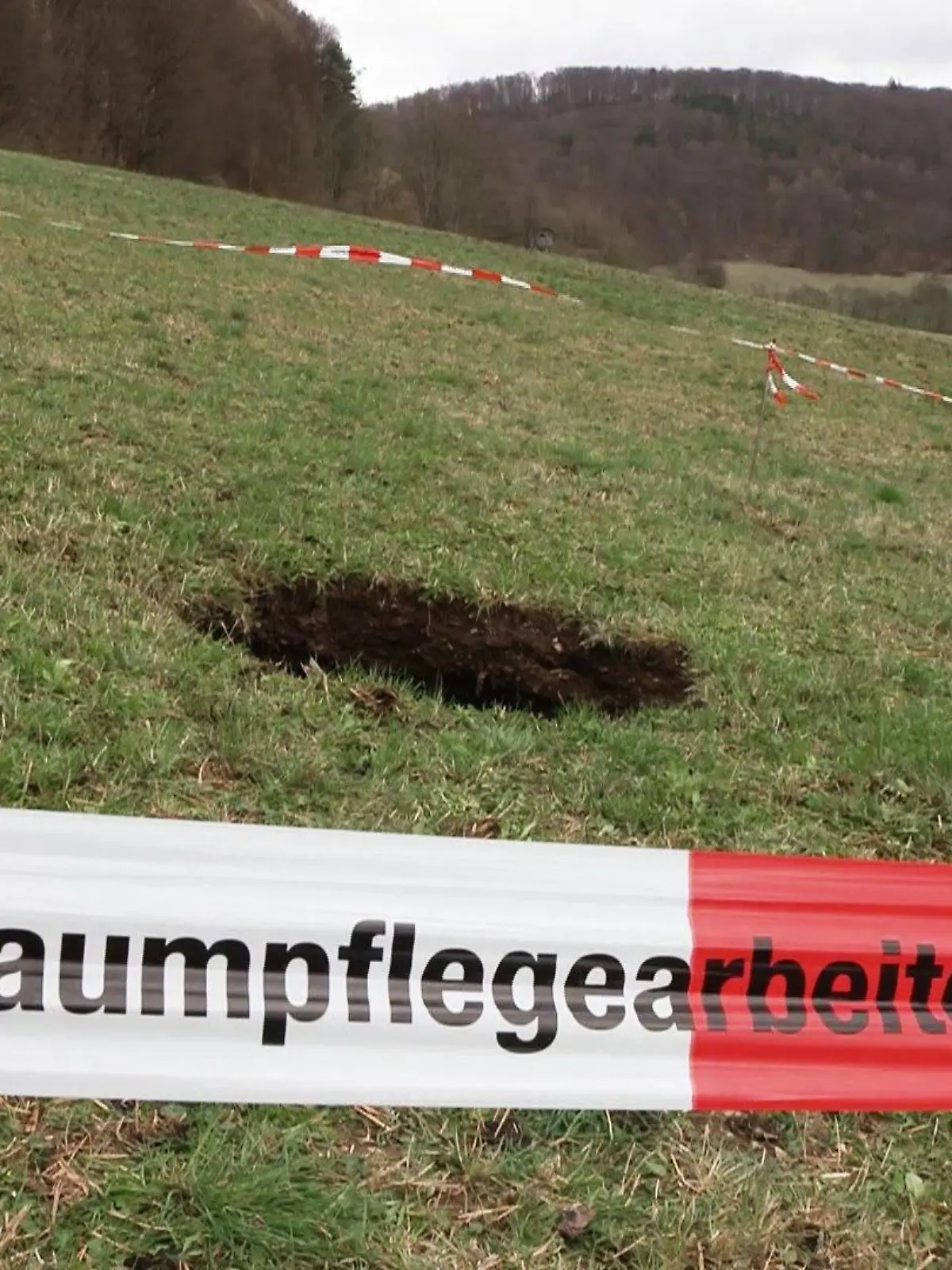 Ein Baum stand an dieser Stelle nicht, da sind sich die Anwohner sicher.