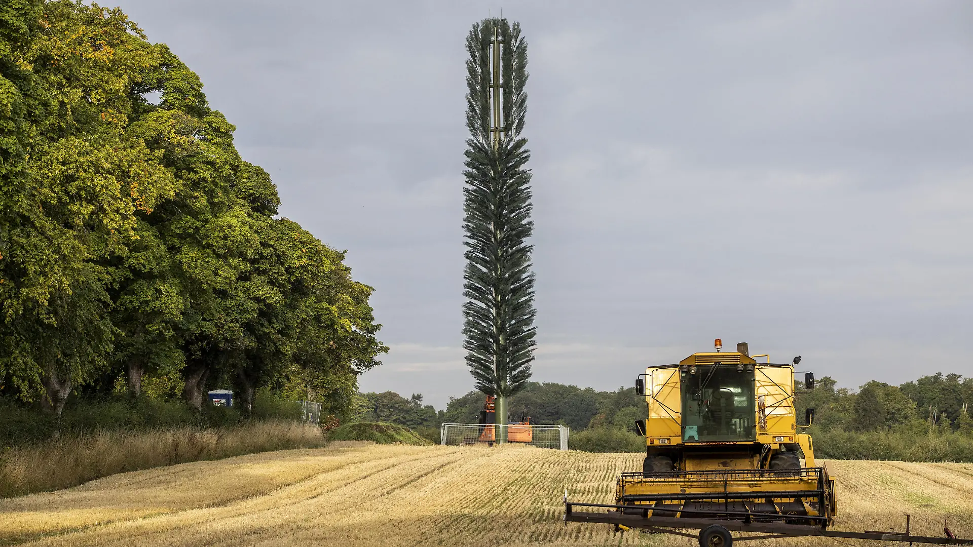 SONDERKONDITIONEN: Satzpreis!
A mast disguised as a tree has been fitted near South Queensferry. Locals have said it looks like a toilet brush. Hilarious pictures show a phone mast disguised as a tree ? which furious locals said looked like a giant toilet brush. See SWNS story SWSMmast. The 25metre high mast, near Dundas Home Farm, South Queensferry, was granted planning permission in June last year by council chiefs. But locals said attempts to hide the EE phone mast were ?ineffective? as it stands more than double the heigh of the trees around it - and looks more like a loo brush. Locals joked baubles and tinsel could be put on the tree at Christmas. 