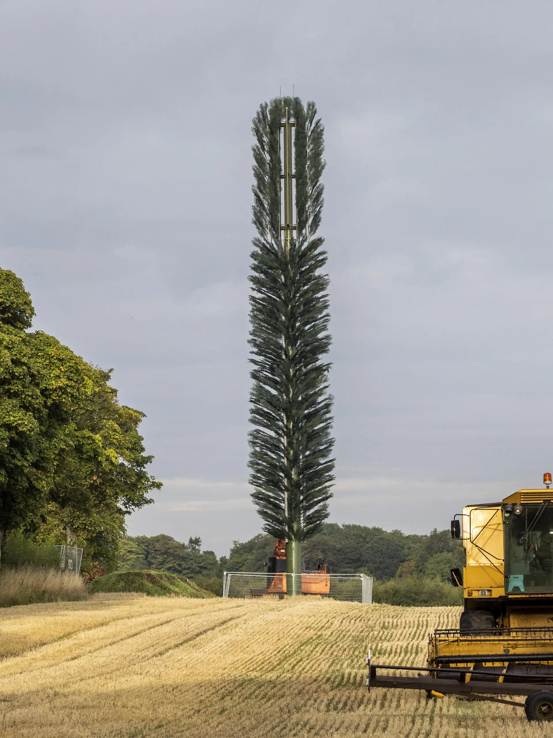 SONDERKONDITIONEN: Satzpreis!
A mast disguised as a tree has been fitted near South Queensferry. Locals have said it looks like a toilet brush. Hilarious pictures show a phone mast disguised as a tree ? which furious locals said looked like a giant toilet brush. See SWNS story SWSMmast. The 25metre high mast, near Dundas Home Farm, South Queensferry, was granted planning permission in June last year by council chiefs. But locals said attempts to hide the EE phone mast were ?ineffective? as it stands more than double the heigh of the trees around it - and looks more like a loo brush. Locals joked baubles and tinsel could be put on the tree at Christmas. 