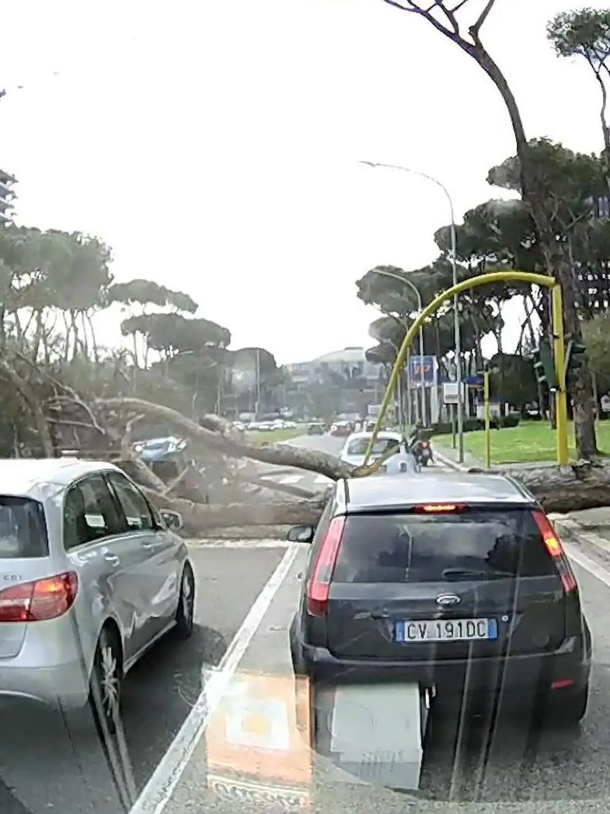 Mehrere Autos stehen an einer Ampel in Rom. Soweit, so normal. Doch als die auf grün schaltet und der Verkehr langsam anrollt, stürzt ein großer Baum mitten auf die Fahrbahn. Die spektakulären Bilder gibt's im Video.