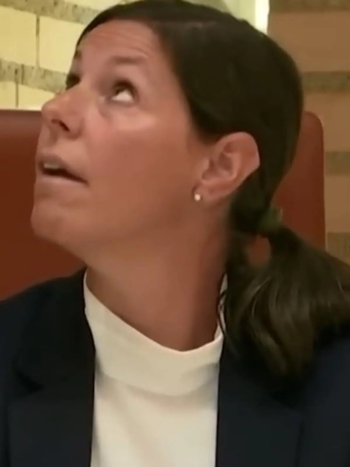 Was sich hier im Liechtensteiner Landtag abspielte, ist allerdings real - und so zufällig, dass es fast gestellt wirkt. Während hier über eine Erdbebenversicherung getagt wurde, kam es gleichzeitig zu einem Erdbeben der Stärke 3,9.