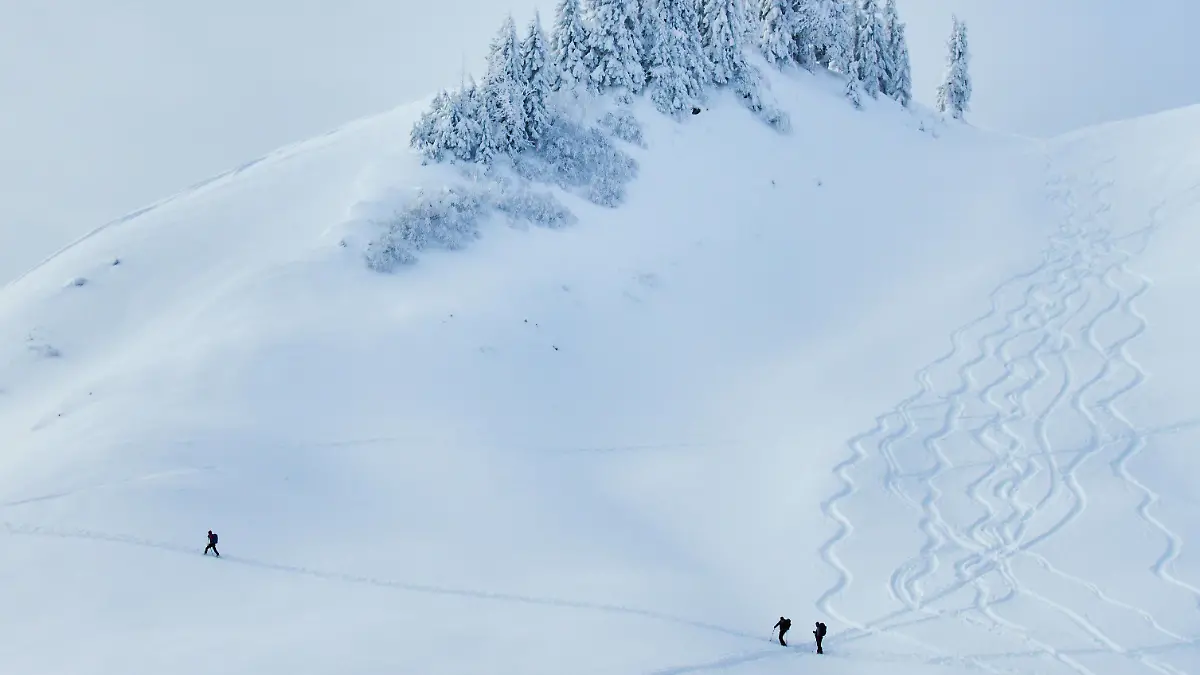 Ski tour walker walk up to the mountain Alpspitz in dangerous avalanche area despite of avalanche danger and warning sign in Nesselwang, Allgäu, Bavaria, Germany, January 11, 2019. Photographer: Peter Schatz