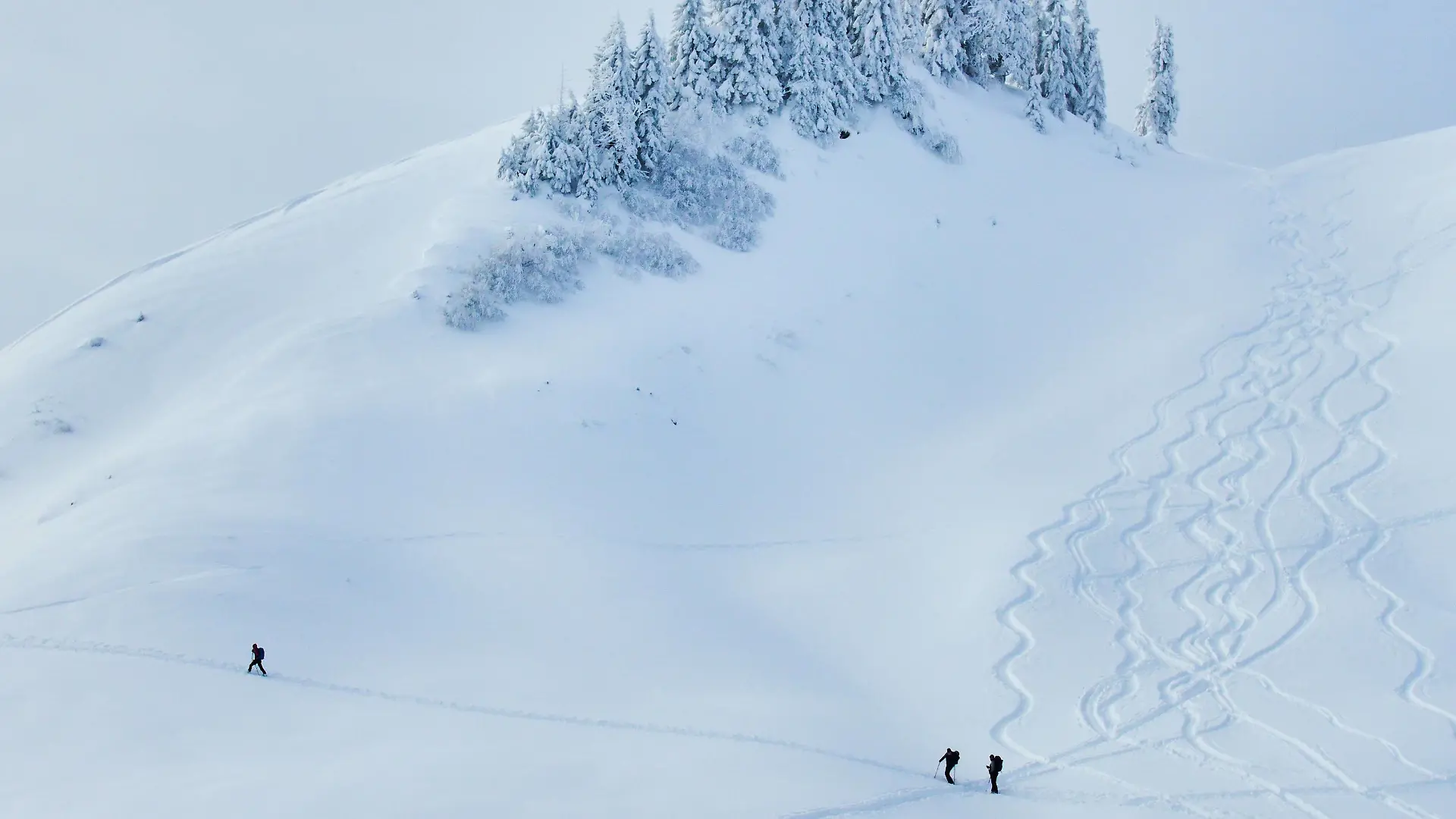 Ski tour walker walk up to the mountain Alpspitz in dangerous avalanche area despite of avalanche danger and warning sign in Nesselwang, Allgäu, Bavaria, Germany, January 11, 2019. Photographer: Peter Schatz