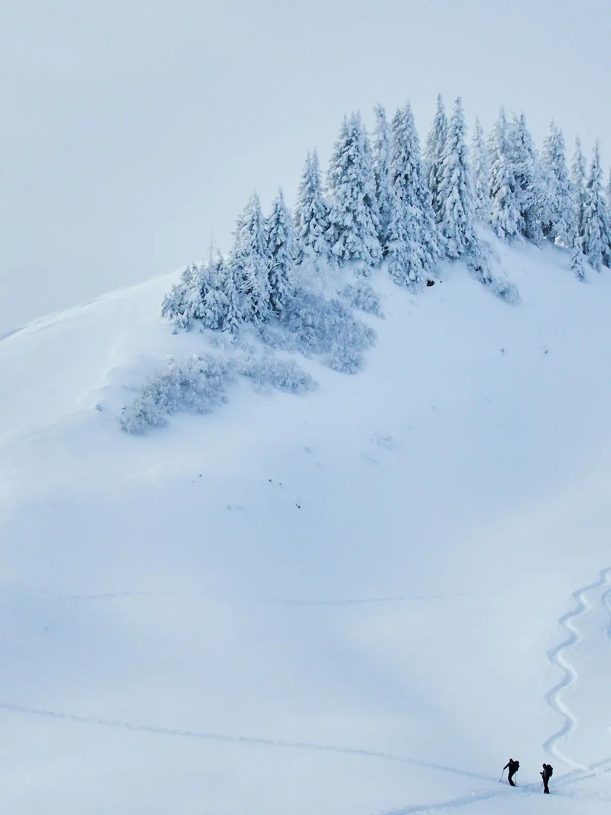 Ski tour walker walk up to the mountain Alpspitz in dangerous avalanche area despite of avalanche danger and warning sign in Nesselwang, Allgäu, Bavaria, Germany, January 11, 2019. Photographer: Peter Schatz  